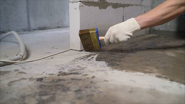 SJ Waterproofing Pros Waterproofing coverage map for Rochester, IL and surrounding area
